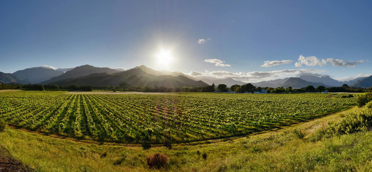 St Croix Self Catering Guest Cottages - Franschhoek